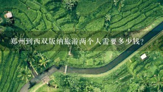 郑州到西双版纳旅游两个人需要多少钱?