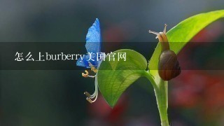 怎么上burberry美国官网