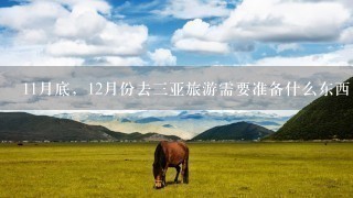 11月底，12月份去3亚旅游需要准备什么东西，需要注意什么？