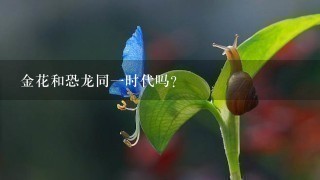 金花和恐龙同1时代吗？