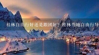 桂林自由行好还是跟团好？桂林当地自由行导游可靠吗？