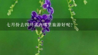 7月份去4川省内哪里旅游好呢?