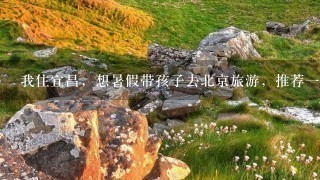 我住宜昌，想暑假带孩子去北京旅游，推荐1下自助游攻略