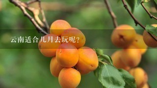 云南适合几月去玩呢?