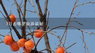 3月去哪里旅游最好