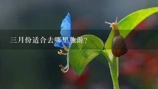 3月份适合去哪里旅游？