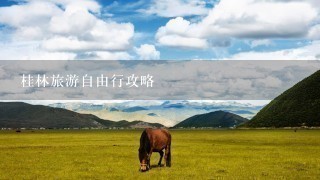 桂林旅游自由行攻略