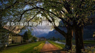 求春节海南旅游自由行攻略