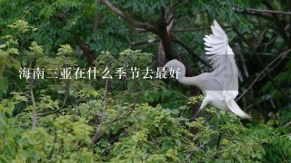 海南3亚在什么季节去最好