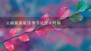 云南旅游最佳季节是什么时候