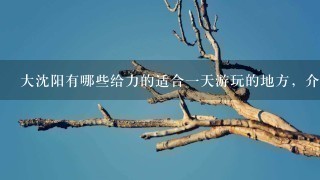 大沈阳有哪些给力的适合1天游玩的地方，介绍介绍？