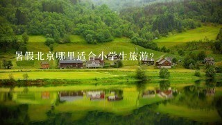 暑假北京哪里适合小学生旅游？