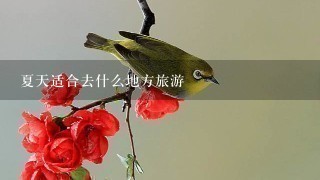 夏天适合去什么地方旅游