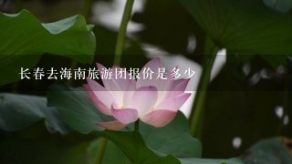 长春去海南旅游团报价是多少