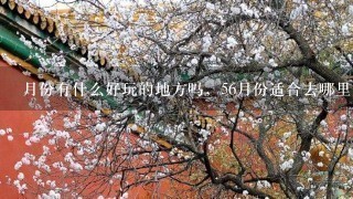 月份有什么好玩的地方吗，56月份适合去哪里旅游