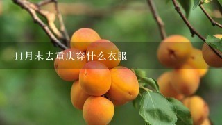 11月末去重庆穿什么衣服