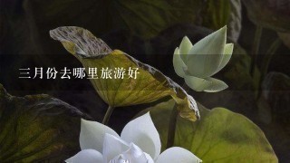 3月份去哪里旅游好