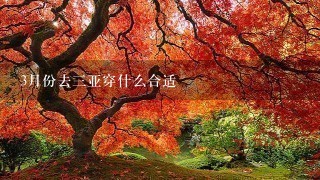 3月份去3亚穿什么合适