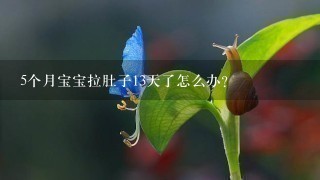 5个月宝宝拉肚子13天了怎么办？