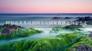 阿尔山火车站到阿尔山国家森林公园怎么走