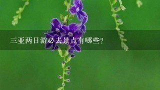 3亚两日游必去景点有哪些？