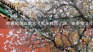 刚找云南国旅艺飞旅游网报了团，准备带父母去西双版纳参加泼水节。大家觉得怎样，那边好玩吗？注意事项