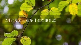 2月23号去3亚穿什么衣服合适