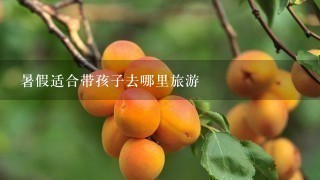 暑假适合带孩子去哪里旅游