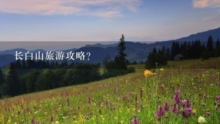 长白山旅游攻略？