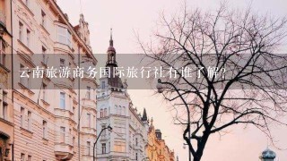 云南旅游商务国际旅行社有谁了解？