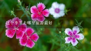 这个季节去哪里旅游最好