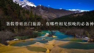 暑假带娃出门旅游，有哪些相见恨晚的必备神器吗？