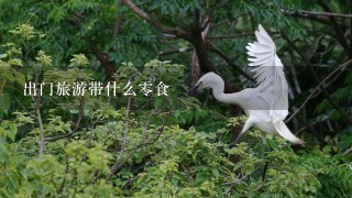 出门旅游带什么0食