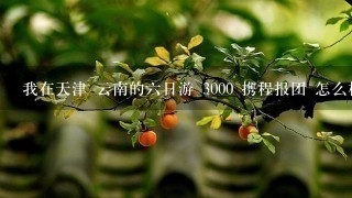 我在天津 云南的6日游 3000 携程报团 怎么样 强制购物现象会不会很严重