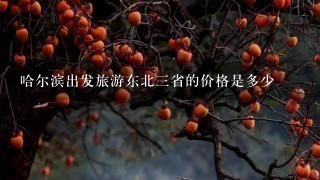 哈尔滨出发旅游东北3省的价格是多少