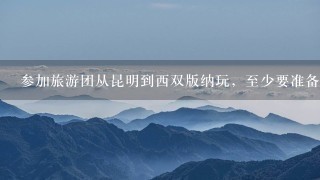 参加旅游团从昆明到西双版纳玩，至少要准备多少钱?