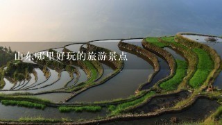 山东哪里好玩的旅游景点