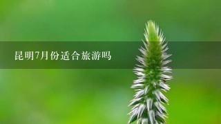 昆明7月份适合旅游吗