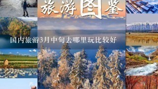 国内旅游3月中旬去哪里玩比较好