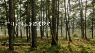 3月去哪里旅游比较好