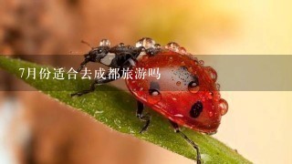 7月份适合去成都旅游吗