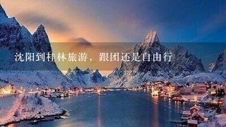 沈阳到桂林旅游，跟团还是自由行