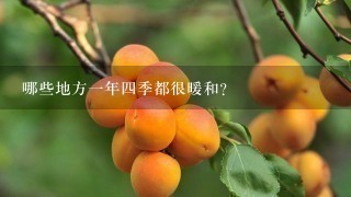 哪些地方1年4季都很暖和？