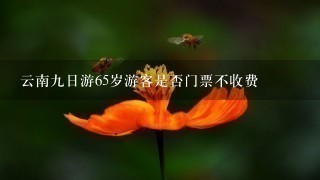 云南9日游65岁游客是否门票不收费