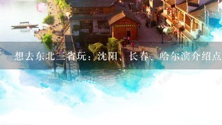 想去东北3省玩：沈阳、长春、哈尔滨介绍点好玩的景点？