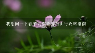 我想问1下春节云南旅游自由行攻略指南