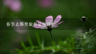 春节去那里旅游最便宜？