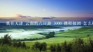 我在天津 云南的6日游 3000 携程报团 怎么样 强制购物现象会不会很严重