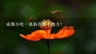 成都小吃1条街在哪个地方?