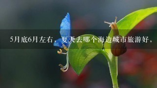 5月底6月左右，夏天去哪个海边城市旅游好，国内的